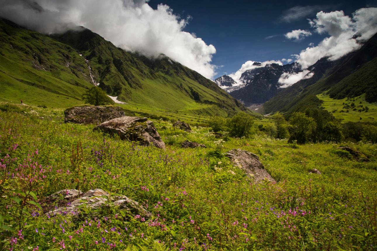 Valley of Flowers: A UNESCO World Heritage Trek